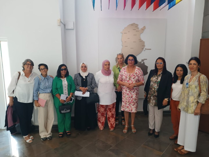 Comunidad de Aprendizaje sobre pol&iacute;ticas publicas locales por la igualdad. Movilizaci&oacute;n de las entidades tunecinas