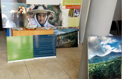 Jornada de puertas abiertas en el aniversario del Parque Nacional de Bouhachem