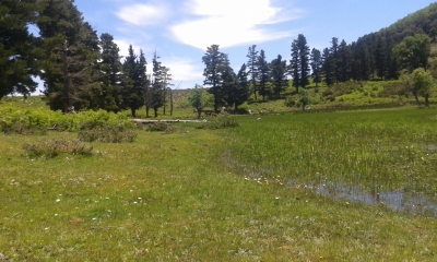 Arrancan las acciones en el Parque Natural de Bouhachem