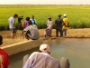 FAMSI da continuidad al proyecto de agua potable en Mauritania y Senegal