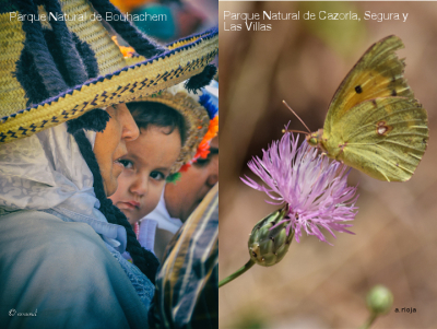 Un intercambio t&eacute;cnico entre Andaluc&iacute;a y Marruecos abordar&aacute; en Cazorla el desarrollo en los espacios naturales protegidos