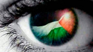 AACID, UNRWA, FAMSI y ONGD en Palestina suscriben el Manifiesto Andaluz por Gaza