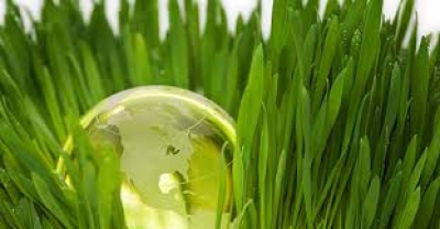 Cambia tus h&aacute;bitos de consumo en el D&iacute;a Mundial del Medio Ambiente