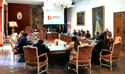 Intercambio t&eacute;cnico en Andaluc&iacute;a con la Asociaci&oacute;n Nacional de Municipios de Mozambique, ANAMM