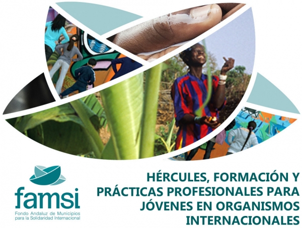 Ampliado el plazo para optar al proyecto H&eacute;rcules: formaci&oacute;n y experiencia profesional en organismos internacionales