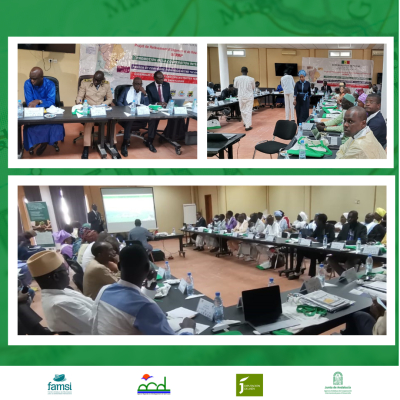 En Saint-Luis, Senegal, se constituye la primera Asociaci&oacute;n Municipalista para hacer frente a los desaf&iacute;os clim&aacute;ticos y el desarrollo sostenible