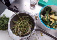 Por el consumo responsable y contra el desperdicio de comida: un segundo taller con estudiantes de Cocina aborda estas dos tem&aacute;ticas en la subb&eacute;tica cordobesa